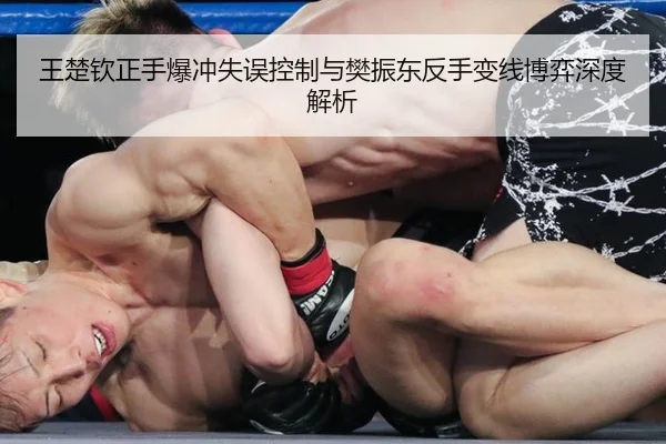 wang-chu-qin-zheng-shou-bao-chong-shi-wu-kong-zhi-yu-fan-zhen-dong-fan-shou-bian-xian-bo-yi-shen-du-jie-xi-2-345.jpg