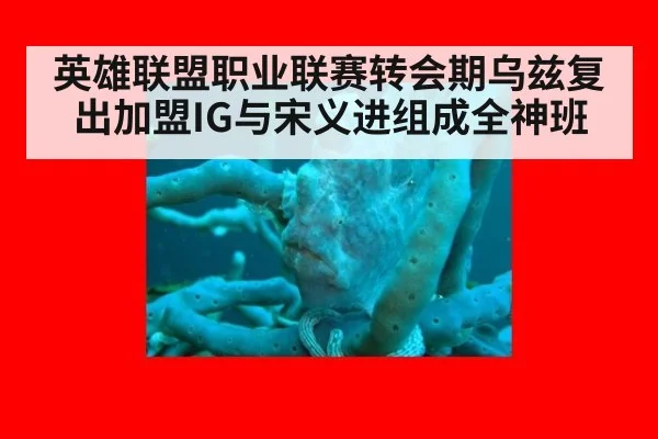 英雄联盟职业联赛转会期乌兹复出加盟IG与宋义进组成全神班